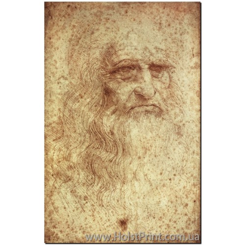 Леонардо да Винчи, Автопортрет, ART: KLA888016, , 168.00 грн., KLA888016, , Известные картины (Классика)