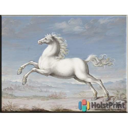 Йорис Хофнагель "Белая лошадь", , 168.00 грн., KSK777037, , Известные картины (Классика)