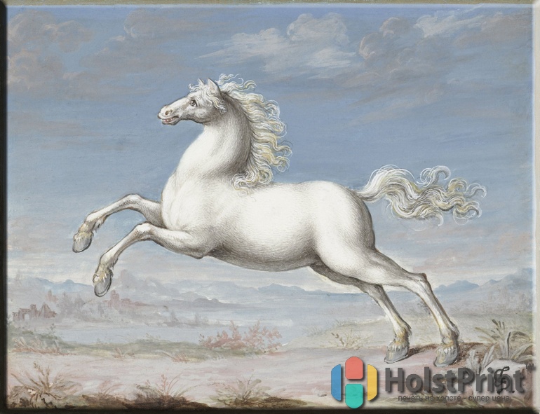 Йорис Хофнагель "Белая лошадь"